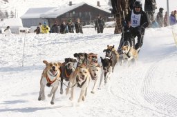 Lenk 2012 SM